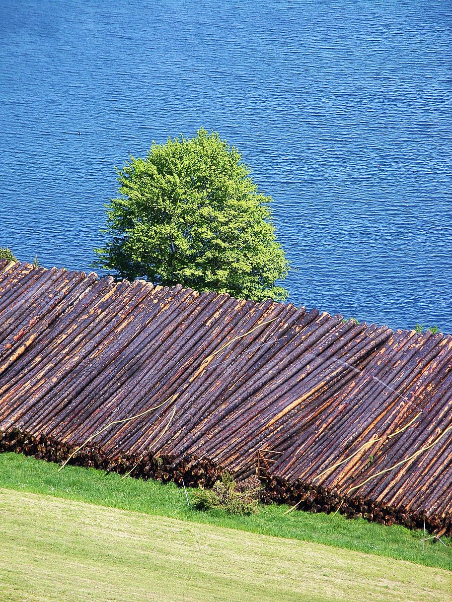 fusta, troncs d’arbres, registre, arbre, naturalesa, escorça, holzstapel, soques, pila, planta, color verd, dia, herba, cap gent, aigua, creixement, vista d’angle alt, a l'aire lliure, blau, terra, material de fusta, tranquil·litat, bellesa a la natura, camp, arquitectura, marró, 2K