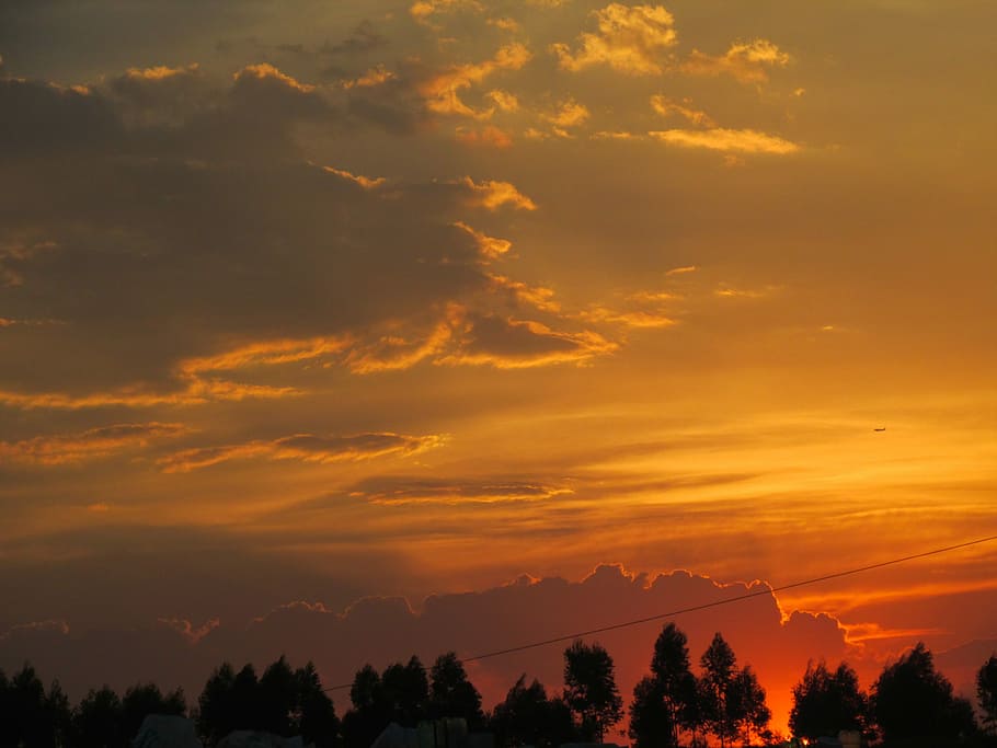 mrak, západ slunce, horizont, Příroda, nebe, krajina, letní, Brazílie, Červené, odpoledne, panoráma, večerní doba, dramatická obloha, silueta, oranžová barva, mrak - nebe, scén, krása v přírodě, scenics - příroda, klid, strom, klidné scény, rostlina, idylický, nikdo, životní prostředí, slunečního světla, mimoměstské scény, hrůza, venku, jehličnatého stromu, 4K