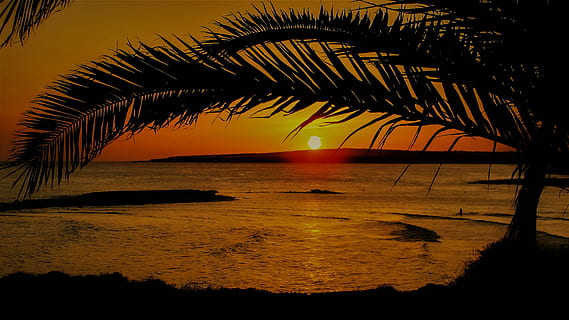 verd, arbre, mar, daurat, hores, posta de sol, vespre, tarda, paisatge, naturalesa, colorit, escènic, llum solar, ayia thekla, Xipre, cap gent, escenics, Palmera, a l'aire lliure, aigua, cel, escenics - natura, bellesa a la natura, silueta, clima tropical, color taronja, tranquil·litat, escena tranquil·la, horitzó, idíl·lic, platja, planta, horitzó sobre l’aigua, fulla de palma, sol, 4K, CC0, domini públic, lliure de regalies