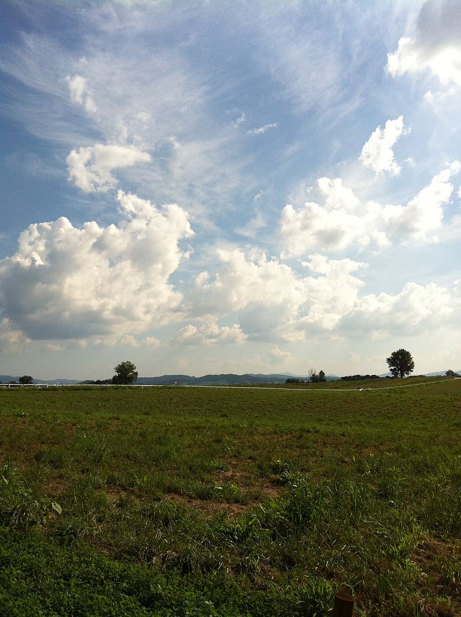 himmel, Sky, vind, sky - himmel, landskab, miljø, Mark, jord, ro, plante, skønhed i naturen, rolig scene, scenics - natur, græs, natur, dag, ingen mennesker, ikke-urbane scene, vækst, træ, grøn farve, udendørs, 2K
