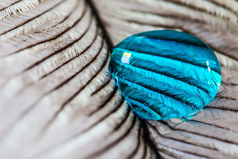 strauss spring, gocciolare, piuma, vicino, macro, sfondo, goccia d'acqua, struttura, piuma d'uccello, liquido, blu, avvicinamento, corda, messa a fuoco selettiva, nessuno, fotogramma intero, strutturato, forza, color turchese, sfondi, contorto, modello, legato, vecchio, colore verde, concentrarsi sulle conoscenze acquisite, giorno, stringa, multicolore, dettaglio, morbidezza, 4K, CC0, dominio pubblico, privo di copyright