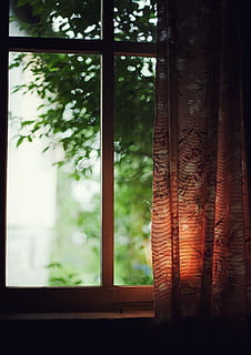 maro, negru, floral, perdele, verde, leafed, copaci, fotografierea cu lumină slabă, alb, perdea, clar, geam fereastră din sticlă, iluminare din spate, ușoară, frunze, vedere, de lemn, sticlă, bokeh, vară, adâncime de câmp, fereastră, în interior, copac, plantă, nici o persoana, transparent, sticlă - material, zi, natură, să se concentreze asupra primelor elemente, a închide, creştere, arhitectură, pădure, teren, Culoarea verde, model, 1080P, CC0, domeniu public, fără drepturi de autor