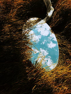 mirall rodó, herba, oval, mirall, verd, camp de gespa, durant el dia, cel, reflexió, núvol, fosc, primer pla, vidre, concepte, aigua, naturalesa, planta, cap gent, vista d’angle alt, dia, llac, tranquil·litat, a l'aire lliure, arbre, bellesa a la natura, davant del mar, creixement, llum solar, núvol - cel, ondulat, poc profund, 4K, CC0, domini públic, lliure de regalies