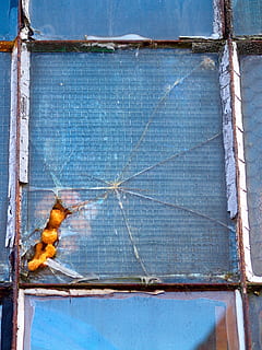 glass, window, broken, damaged, rough, damage, day, no people, wood - material, blue, close-up, metal, architecture, wall - building feature, built structure, outdoors, safety, animal themes, nature, security, animal, rusty, pattern, plant, invertebrate, 2K, CC0, public domain, royalty free