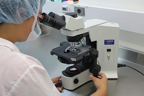 persoană folosind microscopul, microscop, laborator, diagnostic, alb, sănătate și medicină, ocupaţie, ştiinţă, cercetare, educaţie, în interior, tehnologie, echipament de laborator, examinator, instrument optic, adult, experiment științific, calificare, cercetare medicala, om de stiinta, oameni, tehnician, femei, biologie, analizand, 5K, CC0, domeniu public, fără drepturi de autor