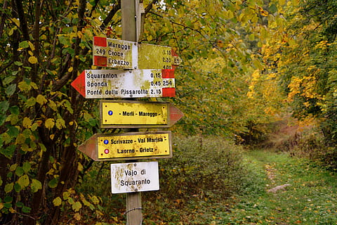 signal, indication, excursion, forêt, la voie européenne, e5, Lessinia, Italie, la communication, texte, signe, orientation, plante, écriture occidentale, information, l'automne, arbre, journée, la nature, scénario, personne, panneau d'information, écriture non occidentale, symbole, en plein air, terre, panneau directionnel, feuille, changement, message, 5K, CC0, domaine public, libre de droits