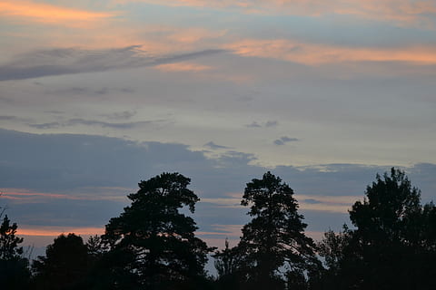 Orange, Abendlicht, Dämmerung, Abend, Licht, finnisch, Wolken, dunkle Wolken, Himmel, das dramatische, Holz, Silhouette, Wolke, Sonnenuntergang, Baum, wolke - himmel, Natur, szenen, Schönheit in der Natur, Pflanze, Szenen - Natur, ruhige Szene, Ruhe, keine Leute, Wachstum, Nicht-städtische Szene, draußen, Flachwinkelansicht, idyllisch, orange Farbe, Dramatischer Himmel, Land, 2K, CC0, gemeinfrei, lizenzfrei