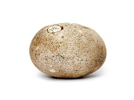 kiezelsteen, steen, lappen, witte achtergrond, uitknippen, studio opname, enkel object, eten en drinken, voedsel, gezond eten, detailopname, rauw eten, welzijn, binnenshuis, geen mensen, aardappel, dierlijk ei, bruin, groente, rauwe aardappel, ei, versheid, biologisch, 1080P, CC0, publiek domein, royaltyvrij