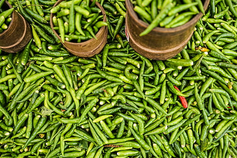 grün kalt, Chilis in Tassen, Chili, Grün, rot, Pfeffer, Pflanze, grüne Farbe, Essen und Trinken, Lebensmittel, Frische, Gemüse, würzen, große gruppe von gegenständen, gesundes Essen, Fülle, keine Leute, Wohlbefinden, Markt, Chili-Pfeffer, Stillleben, grüne Chilischote, Bohne, Nahansicht, Verkauf, Vollbild, rote Chilischote, 5K, CC0, gemeinfrei, lizenzfrei