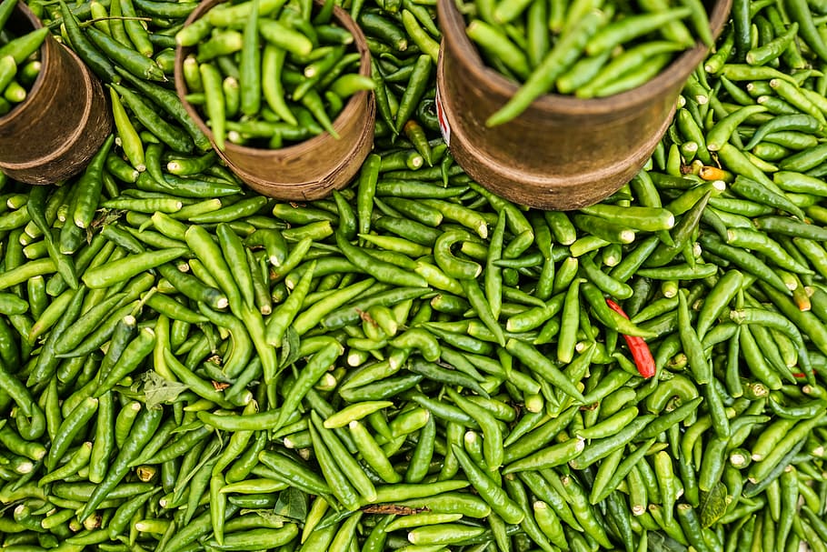 freddo verde, peperoncini all'interno di tazze, peperoncino, verde, rosso, Pepe, pianta, colore verde, cibo e bevande, cibo, freschezza, verdura, Spezia, grande gruppo di oggetti, mangiare sano, abbondanza, nessuno, benessere, mercato, natura morta, peperoncino verde, fagiolo, avvicinamento, Al dettaglio, fotogramma intero, peperoncino rosso, 5K