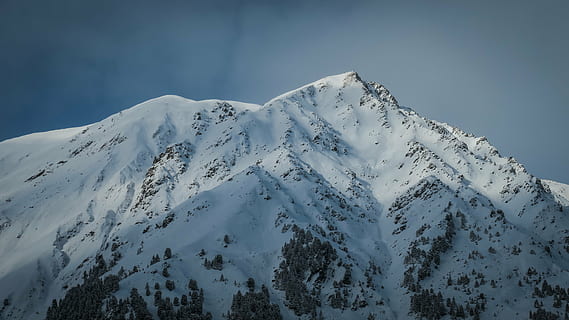 hegy, fedett, hó, téli, fehér, hideg, időjárás, jég, fák, növények, természet, utazás, kaland, túra, mászik, hegység, snowcapped hegy, hegycsúcs, scenics, nem ember, nap, szabadban, hideg hőmérséklet, szépség a természetben, festmények - természet, ég, nyugalom, nyugodt jelenet, fehér szín, környezet, tájkép, nem városi színtéren, tiszta ég, fenyőfa, tűlevelű fa, 5K, CC0, közkincs, jogdíjmentes