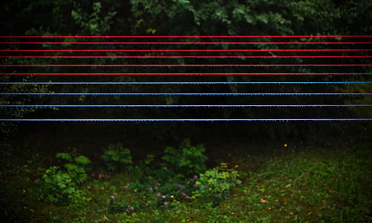 rosso, blu, linee di vestiti, verde, leafed, piante, alberi, rosso e blu, stringhe, erbe, all'aperto, natura, nessuno, erba, giorno, crescita, albero, pianta, terra, connessione, campo, concentrarsi sulle conoscenze acquisite, tecnologia, foglia, colore verde, parco, parte vegetale, sport, assenza, vuoto, Alimentazione elettrica, 4K, CC0, dominio pubblico, privo di copyright