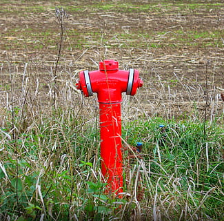 Hydrant, rot, gras, rot, Gras, Schutz, Sicherheit, Tag, draußen, Feuerhydrant, Feld, Natur, Land, Pflanze, Unfälle und Katastrophen, keine Leute, grüne Farbe, Wachstum, Notfallausrüstung, Feuerlöscher, Metall, Arbeitsschutzkleidung, 2K, CC0, gemeinfrei, lizenzfrei