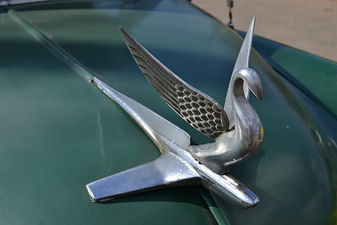 Kuba, Oldtimer, Auto, Chevrolet, alt, coole Figur, Wasser, Wasserfahrzeug, keine Leute, Transportmittel, Transport, Tag, Natur, Tier, Wirbeltier, Metall, Nahansicht, draußen, High Angle View, Tierthemen, Tierwelt, Tiere in freier Wildbahn, Fokus auf den Vordergrund, Fisch, ein Tier, silberfarben, Marine, türkisfarben, 4K, CC0, gemeinfrei, lizenzfrei