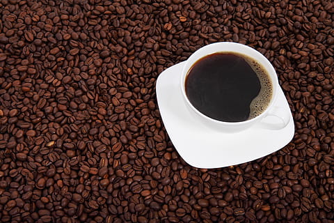 wit, keramisch, kop, schotel, koffiebonen, achtergrond, Boon, bonen, drank, zwart, bruin, cafe, cafeïne, koffie, concept, donker, drinken, espresso, vers, heet, vloeistof, mok, bord, verfrissing, eten en drinken, koffie - drankje, koffiekop, versheid, gebrande koffieboon, aardewerk, voedsel, achtergronden, geen mensen, stilleven, patroon, recht boven, 4K, CC0, publiek domein, royaltyvrij