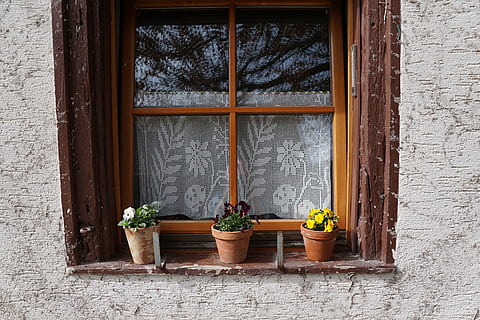 pencere, Çiçekler, tencere, saksı bitkisi, büyüme, bitki, çiçekli bitki, çiçek, ahşap malzeme, yapılı yapı, insansız, saksı, doğa, mimari, gün, pencere pervazına, dış yapı, duvar inşa özelliği, cam malzemesi, bina, açık havada, kapı, Bahçıvanlık, ev bitkisi, 5K, CC0, kamu malı, telif ücretsiz