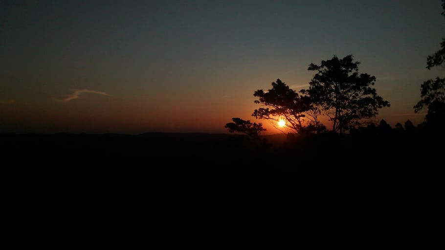 tramonto, pomeriggio, tramonto, pomeriggio, silhouette, natura, albero, Paesaggi, scena tranquilla, cielo, la tranquillità, pianta, scenics - natura, bellezza nella natura, nessuno, copia spazio, paesaggio, colore arancione, ambiente, crescita, scena non urbana, idilliaco, all'aperto, buio, 2K