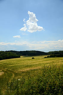 campo, nuvem, panorama, Visão, natureza, polyana, céu, verão, o fundo, meio Ambiente, terra, cena tranquila, scenics - natureza, nuvem - céu, tranquilidade, plantar, beleza na natureza, crescimento, grama, cor verde, ninguém, cena rural, dia, árvore, cena não urbana, ao ar livre, 4K, CC0, domínio público, royalty free