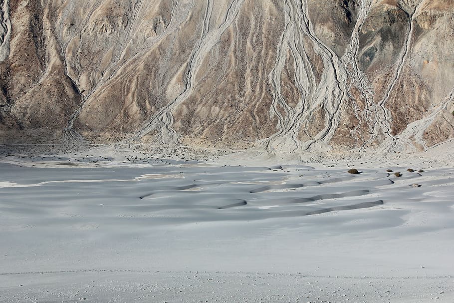 tělo, voda, vedle, hora, nepojmenovaná, písek, kopec, strom, Země, nubia údolí, poušť, drift, pustý, duna, indium, vkan, výlet, ladakh, sandune, klid, krása v přírodě, Příroda, klidné scény, nikdo, scenics - příroda, den, studená teplota, zimní, nábřeží, mimoměstské scény, idylický, přistát, sníh, venku, rostlina, 4K