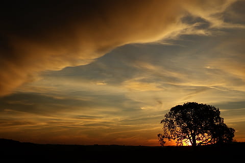 sunset and tree, tree, eventide, sol, sunset, nature, silhouette, against light, finale, sky, landscape, dusk, outdoors, cloud - sky, scenics - nature, beauty in nature, tranquility, tranquil scene, dramatic sky, environment, plant, orange color, no people, idyllic, land, moody sky, dark, 4K, CC0, public domain, royalty free