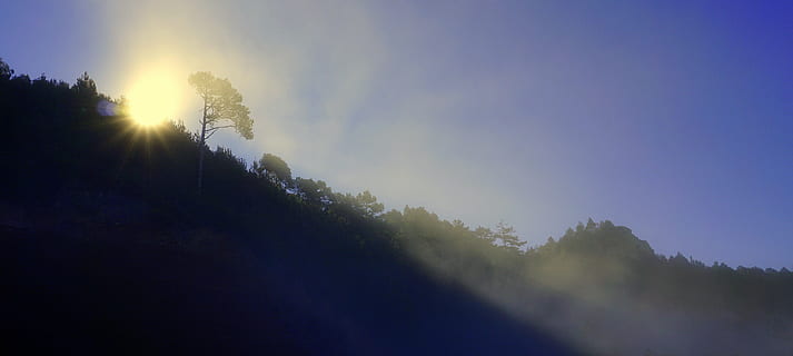 tåge, inversion, baggrundsbelysning, landskab, horisont, sol, blå himmel, berolige, lys, stråler, himmel, sollys, skønhed i naturen, træ, ro, solstråle, scenics - natur, natur, plante, miljø, rolig scene, ingen mennesker, Skov, linseflare, jord, morgen, udendørs, nåletræ, 5K, CC0, offentligt domæne, royaltyfrie