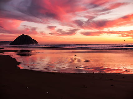fotografia, à beira-mar, por do sol, de praia, cena, tarde, lindo, cores, laranja, Rosa, magenta, colorida, brilho, cloudscape, surpreendente, agua, reflexões, Rocha, oceano, mar, costa, pássaro, procurando, Comida, céu, beleza na natureza, scenics - natureza, terra, cor laranja, nuvem - céu, cena tranquila, tranquilidade, horizonte sobre a água, idílico, horizonte, natureza, ninguém, areia, silhueta, céu romântico, 2K, CC0, domínio público, royalty free