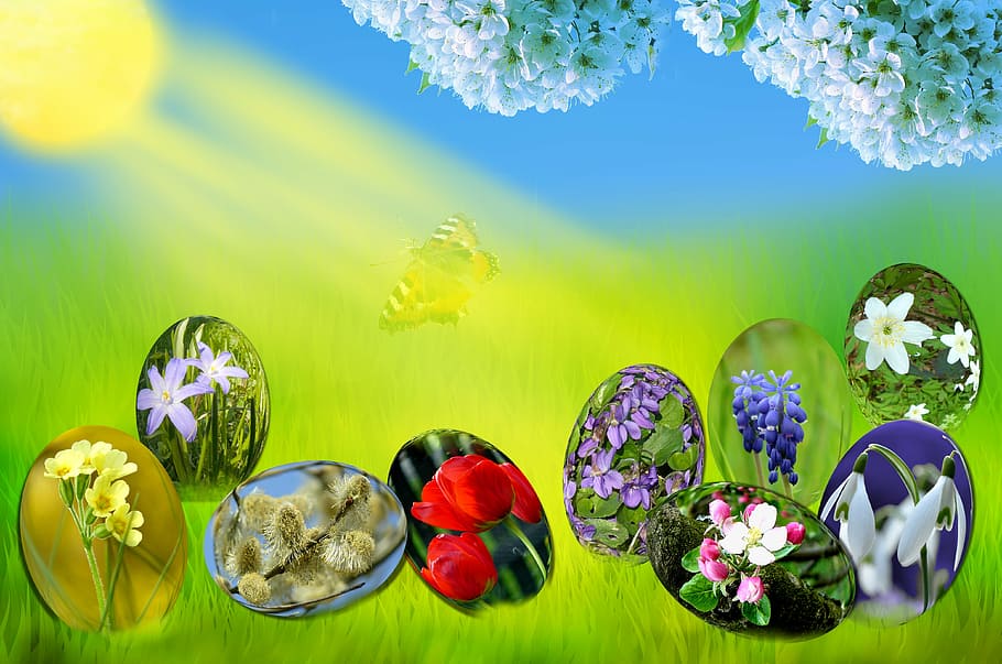 Pasqua, uova, primavera, sole, erba, verde, cielo, blu, luce, primula, tulipano, viola, muscari, bucaneve, anemone, salice, bocciolo di mela, fioritura, frusta, fiori, fogliame, prato, natura, farfalla, sfondi, estate, fiore, vettore, illustrazione, freschezza, pianta fiorita, pianta, bellezza nella natura, colore verde, multicolore, colore vibrante, nessuno, sfondo colorato, acqua, variazione, girato in studio, composizione floreale, parte vegetale, giallo, in casa, mazzo, testa di fiore, luminosa, sfondo verde, 4K