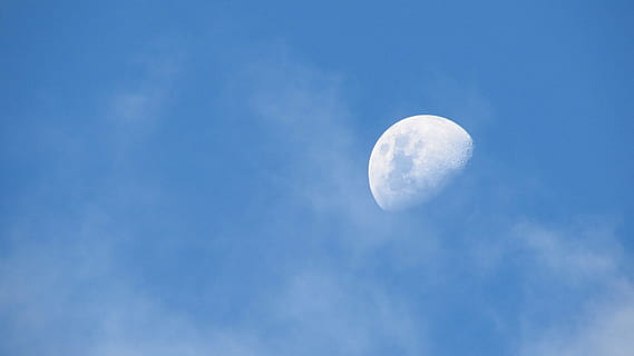 ต่ำ, ภาพถ่ายมุม, พระจันทร์ครึ่งซีก, สีน้ำเงิน, ท้องฟ้า, ขาว, Halfmoon, ดวงจันทร์, เมฆ, แสงจันทร์, ช่องว่าง, พระจันทร์เต็มดวง, กลางคืน, ธรรมชาติ, พื้นผิวดวงจันทร์, ดาราศาสตร์, ดาวเคราะห์ดวงจันทร์, รูปทรงกลม, เมฆ - ท้องฟ้า, มุมมองที่ต่ำ, ไม่มีคน, ความงามในธรรมชาติ, ความเงียบสงบ, สีขาว, พื้นที่การคัดลอก, ฉากที่เงียบสงบ, โหราศาสตร์, กลางแจ้ง, Scenics - ธรรมชาติ, อวกาศและดาราศาสตร์, 4K, CC0, โดเมนสาธารณะ, ค่าลิขสิทธิ์ฟรี