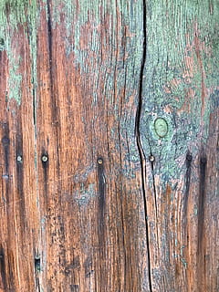 tree, texture, colors, paint, board, lines, summary, wood - material, textured, backgrounds, full frame, weathered, brown, no people, plank, old, rough, close-up, pattern, wood, knotted wood, day, tree trunk, plant, trunk, wood grain, outdoors, deterioration, 4K, CC0, public domain, royalty free