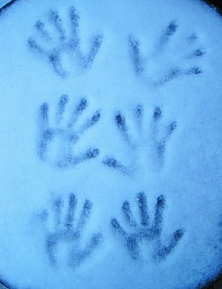 handavtryck, kall vinter, vintrig, kall, vinter-, tid på året, isig, omtryck, händer, frost, vintertid, snö, is, frysta, snöig, text, kall temperatur, blå, kommunikation, inget folk, närbild, vit färg, djur-, dag, inomhus, djurteman, natur, full ram, högvinkelvy, västra skriptet, ryggradsdjur, bakgrunder, 2K, CC0, offentligt domän, royaltyfria