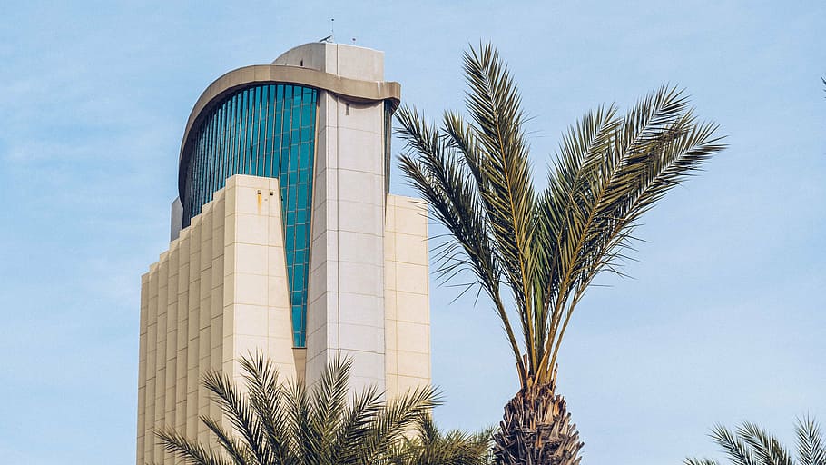 architectural, photo, white, blue, concrete, building, sky, daytime, architecture, infrastructure, tree, plant, nature, palm tree, day, building exterior, no people, built structure, outdoors, tropical climate, date palm tree, travel destinations, modern, city, travel, tower, business, palm leaf, office building exterior, luxury, 4K