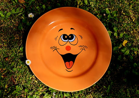 Teller, Geschirr, smiley, süß, Porzellan, bunt, Farbe, Essen, Orange, Wiese, Gänseblümchen, Gras, keine Leute, anthropomorphes Gesicht, Tag, draußen, Halloween, Darstellung, Kreativität, Pflanze, Kunst und Handwerk, menschliche Darstellung, anthropomorph, Feld, Gesicht, anthropomorphes smileygesicht, Natur, Nahansicht, Land, High Angle View, 5K, CC0, gemeinfrei, lizenzfrei