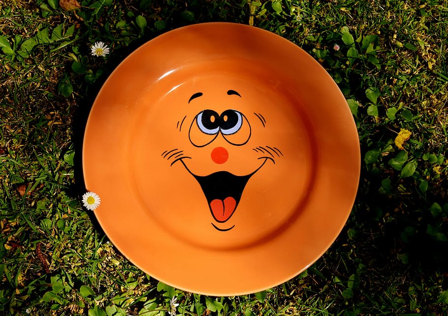 Teller, Geschirr, smiley, süß, Porzellan, bunt, Farbe, Essen, Orange, Wiese, Gänseblümchen, Gras, keine Leute, anthropomorphes Gesicht, Tag, draußen, Halloween, Darstellung, Kreativität, Pflanze, Kunst und Handwerk, menschliche Darstellung, anthropomorph, Feld, Gesicht, anthropomorphes smileygesicht, Natur, Nahansicht, Land, High Angle View, 5K