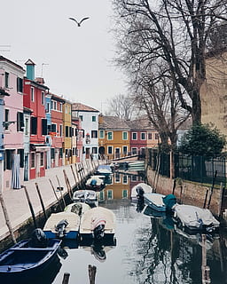 mehrere, angedockt, Boote, Stadtkanal, Tag, Fluss, Häuser, tagsüber, Gebäude, die Architektur, Flügel, Vogel, Baum, gebaute Struktur, Gebäudehülle, Transportmittel, Wasser, Wasserfahrzeug, kahler Baum, Transport, Wirbeltier, Tierthemen, festgemacht, Natur, Himmel, Tier, Stadt, keine Leute, Kanal, draußen, 2K, CC0, gemeinfrei, lizenzfrei