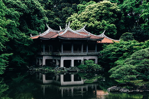 blanc, marró, casa, envoltat, arbres, gris, pintura, cos d'aigua, asia, arquitectura, Xina - Àsia oriental, cultura xinesa, cultures, cultura asiàtica oriental, pavelló, construcció de temples, lloc famós, història, naturalesa, antic, viatjar, arbre, llac, aigua, a l'aire lliure, exterior de l'edifici, ràfecs, estructura construïda, cap gent, planta, edifici, sostre, creixement, color verd, dia, religió, creença, estil clàssic, 4K, CC0, domini públic, lliure de regalies
