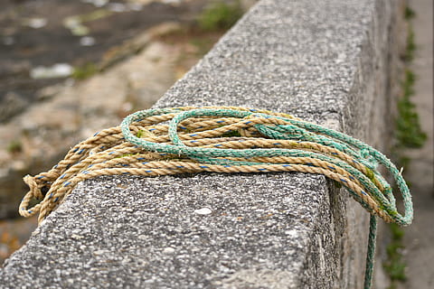 corda, enllaç, amarratge, cordes, node, corbata, arreglant, vaixell nàutic, nus lligat, mar, primer pla, dia, força, cap gent, lligat, un animal, a l'aire lliure, connexió, temes d'animals, centrar-se en primer pla, metall, enfocament selectiu, naturalesa, textura, animal, fauna animal, color verd, retorçat, enredat, 5K, CC0, domini públic, lliure de regalies