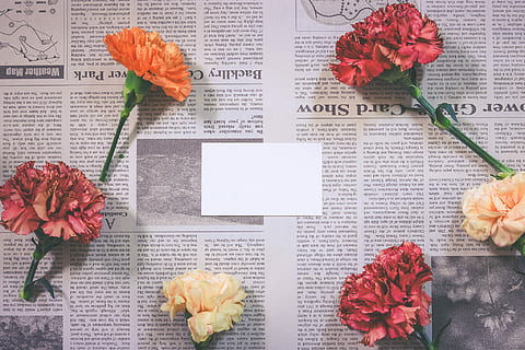 tre, rosso, uno, arancia, Due, beige, fiori, superiore, giornale, rosso, uno, in cima, fiore, mazzo, natura, rosa, sfondi, pianta, fiorire, testa di fiore, petalo, pianta fiorita, bellezza nella natura, freschezza, in casa, infiorescenza, preparativi, fragilità, carta, vulnerabilità, nessuno, libro, pubblicazione, testo, composizione floreale, 1080P, CC0, dominio pubblico, privo di copyright