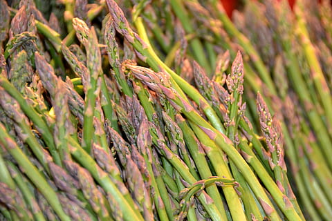 espàrrecs, vegetal, verd, vegetals, verd, color verd, menjar i beguda, menjar, marc complet, frescor, abundància, fons, cap gent, planta, primer pla, alimentació saludable, dia, naturalesa, benestar, gran grup d'objectes, creixement, agricultura, enfocament selectiu, 2K, CC0, domini públic, lliure de regalies