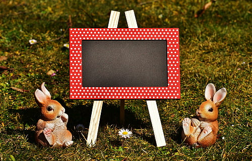pissarra, dos, figuretes de conill, Pasqua, Feliç Pasqua, conill de Pasqua, decoració, targeta de felicitació, divertit, primavera, deco, herba, cap gent, dia, temes d'animals, a l'aire lliure, animals domèstics, primer pla, naturalesa, mamífer, celebració, festa, representació, representació animal, joguina, animal, joguina de peluix, art i artesania, planta, conill - animal, humor, 5K, CC0, domini públic, lliure de regalies