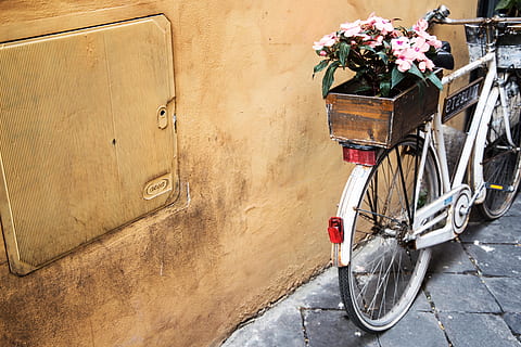 immer noch, Artikel, Dinge, Transport, Fahrrad, Räder, Blumen, Topf, Box, Beton, Fußboden, Wand, Linien, Transportmittel, Blume, Landfahrzeug, stationär, Wandbau - Funktion, blühende Pflanze, die Architektur, Tag, Gebäudehülle, Pflanze, keine Leute, Straße, Fahrradkorb, gebaute Struktur, draußen, Natur, Stadt, Korb, Rad, 5K, CC0, gemeinfrei, lizenzfrei