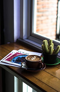 Zielony, kaktus, oprócz, brązowy, ceramiczny, Puchar, spodek, cafe latte, serwowane, stół, wewnątrz, okno, żadnych ludzi, wnętrze domu, jedzenie i picie, dzień, jedzenie, skupić się na pierwszym planie, pojemnik, martwa natura, drewno - materiał, świeżość, zdrowe odżywianie, posadzka, światło słoneczne, Natura, dobre samopoczucie, wysoki kąt widzenia, taca, 4K, CC0, domena publiczna, darmowe zdjęcia