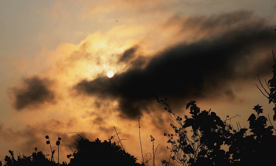 tilsløret, sol, mørk sky, oRB, sløret sol, sollys, lys, gul-orange glød, uhyggelige, mystisk, løv, natur, solnedgang, sky - himmel, himmel, cloudscape, skumring, udendørs, vejr, dramatisk himmel, mørk, scenics, orange farve, silhuet, træ, skønhed i naturen, plante, lav vinkel visning, ro, scenics - natur, Palme træ, ingen mennesker, rolig scene, tropisk klima, idyllisk, storm, ildevarslende, kokos palme, tropisk træ, 2K