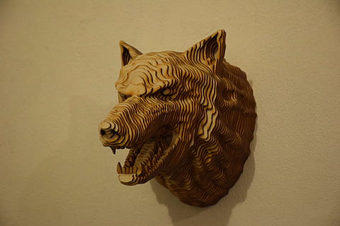 hoved, ulv, træ, dyr, væg, levende natur, samtidskunst, dinosaurus, dyr repræsentation, dyre temaer, et dyr, historie, museum, Kunst og håndværk, murbygningsfunktion, kreativitet, ingen mennesker, håndværk, indendørs, repræsentation, arkitektur, studio skud, enkelt objekt, pattedyr, farvet baggrund, skulptur, tæt på, dyreliv, fortiden, antik, 4K, CC0, offentligt domæne, royaltyfrie