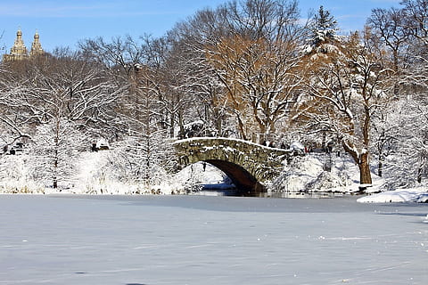 central, parc, Manhattan, new york, hivern, neu, gel, arbre, llac, estany, pont, temperatura de fred, arbre nu, planta, cap gent, naturalesa, tranquil·litat, cobertura, bellesa a la natura, Color blanc, congelat, cel, dia, escena tranquil·la, escenics - natura, terra, camp, a l'aire lliure, fred, 1080P, CC0, domini públic, lliure de regalies