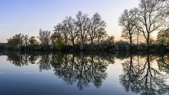 arbres, reflectint, llac, panorama, naturalesa, reflexió, paisatge, aigües, duplicació, bonic, aigua, tarda, abendstimmung, humor, arbre, planta, tranquil·litat, cel, bellesa a la natura, cap gent, escena tranquil·la, escenics - natura, davant del mar, simetria, creixement, idíl·lic, escena no urbana, dia, a l'aire lliure, llac de reflexió, 8K, CC0, domini públic, lliure de regalies