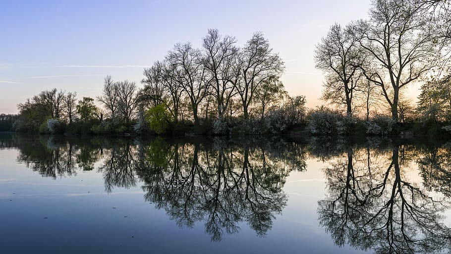 arbres, reflectint, llac, panorama, naturalesa, reflexió, paisatge, aigües, duplicació, bonic, aigua, tarda, abendstimmung, humor, arbre, planta, tranquil·litat, cel, bellesa a la natura, cap gent, escena tranquil·la, escenics - natura, davant del mar, simetria, creixement, idíl·lic, escena no urbana, dia, a l'aire lliure, llac de reflexió, 8K