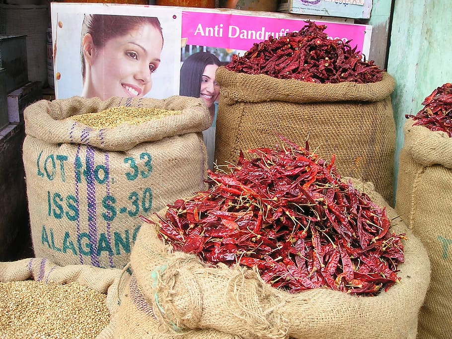 Xile, chile, agut, calenta, Índia, mercat, verdures, fruita, només adults, adult, una persona, venda al detall, tirada al cap, sac, menjar i beguda, menjar, negocis, frescor, gran grup d'objectes, a l'interior, Paradeta, abundància, a la venda, persones reals, espècia, vermell, elecció, negoci petit, dones, visualització al detall, 1080P