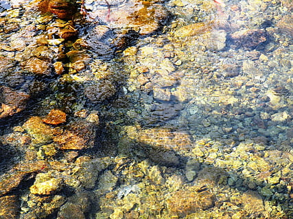 Strom, Wasser, Hintergrund, Ruhe, Natur, sauber, fließen, Reinheit, transparent, texturiert, Hintergründe, Vollbild, abstrakt, Nahansicht, Muster, Rock, Tag, keine Leute, Rau, Rock - Objekt, solide, Baum, draußen, Wachstum, Pflanze, Flechte, natürliches Muster, Sonnenlicht, Baumstamm, Kofferraum, Borke, 2K, CC0, gemeinfrei, lizenzfrei