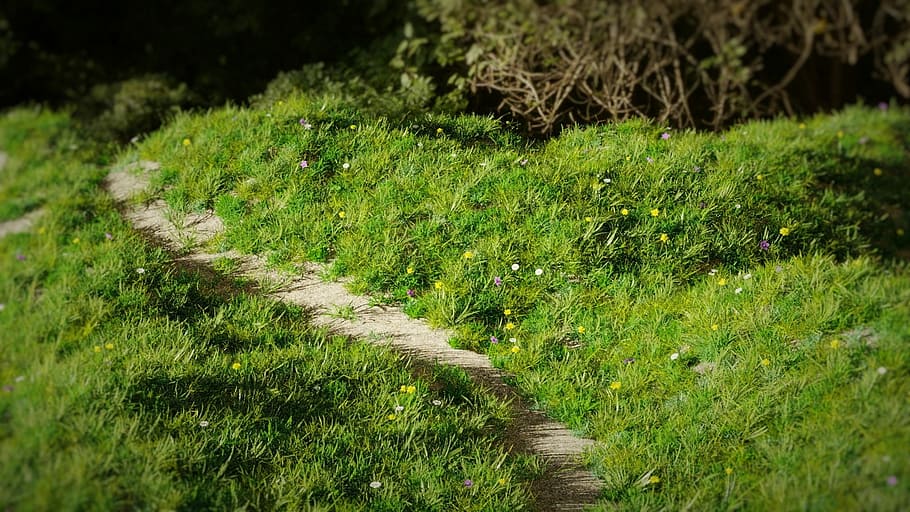 bjerg, græs, 3d, sti, solnedgang, forår, blender, plante, grøn farve, vækst, jord, ingen mennesker, natur, Mark, dag, skønhed i naturen, ro, retning, udendørs, rolig scene, vejen frem, selektiv fokusering, landskab, sollys, høj vinkel visning, 1080P