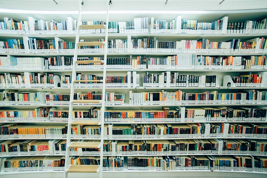 alb, de lemn, scară, raft de cărți, interior, luminat, cameră, asortat, cărți, carte, bibliotecă, raft, perete, publicare, grup mare de obiecte, abundenţă, în interior, nici o persoana, aranjament, educaţie, unul langa altul, consecutiv, zi, Ordin, literatură, arhitectură, alegere, construită, 5K